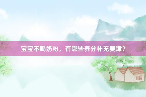 宝宝不喝奶粉，有哪些养分补充要津？
